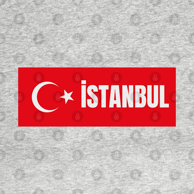 Istanbul City in Turkish Flag by aybe7elf